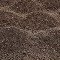 Soils and Fertilizers