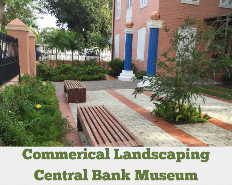 Commercial Landscaping – Central Bank Museum, Bridgetown