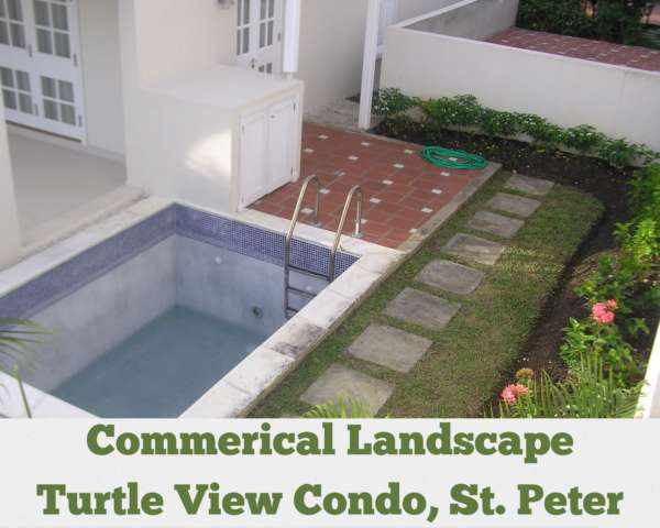 Commercial Landscape Renovation – Turtle View Condo, St. Peter