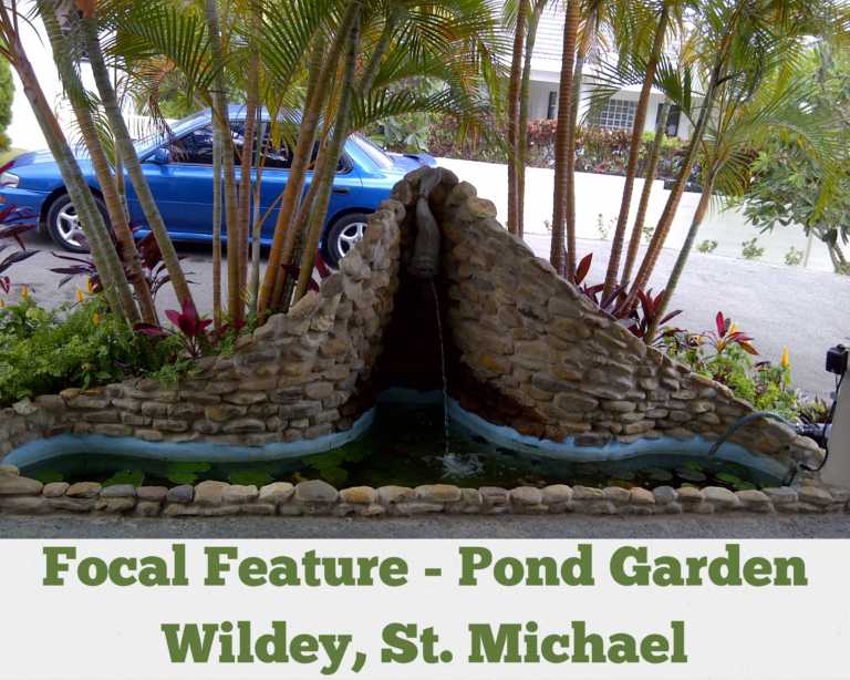 Commercial Water Features – Focal Feature, Pond Garden, Wildey St. Michael