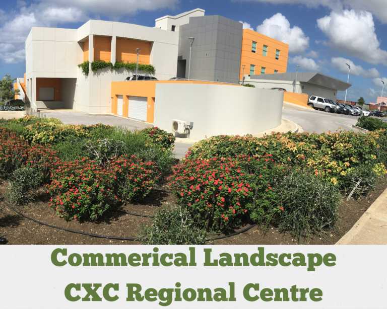 Commercial Landscaping – CXC Regional Centre St. Michael