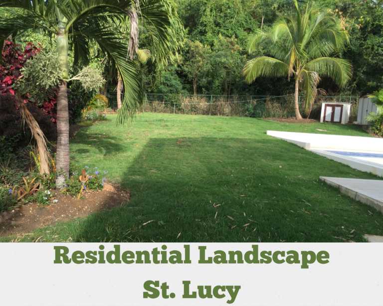 Residential Landscaping – St. Lucy