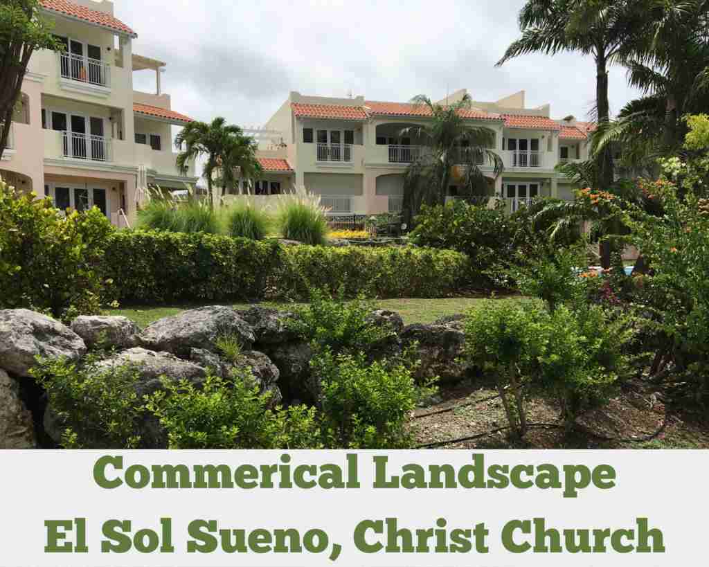 Commercial Maintenance – El Sol Sureno Condos, Durants, Ch Ch