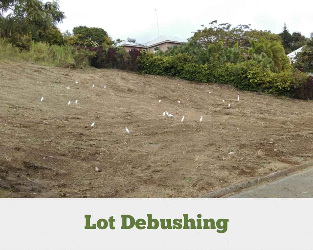 Lot Debushing – St. Andrew
