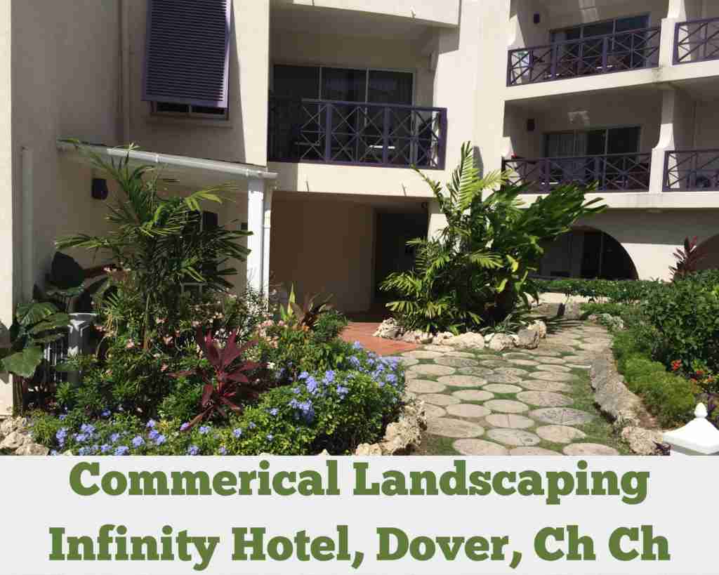 Commercial Landscaping – Infinity Hotel, Dover Christ Church