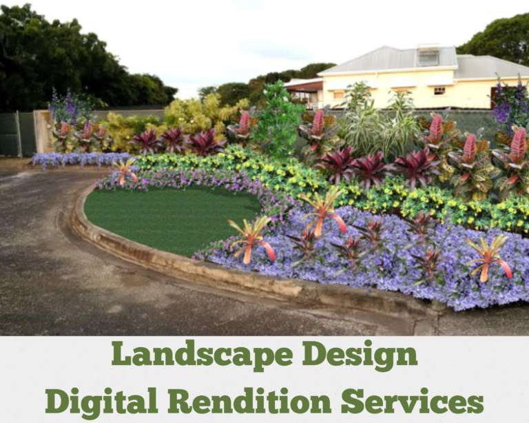 Digital Rendition Services